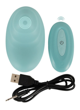 RC Panty Vibrator
